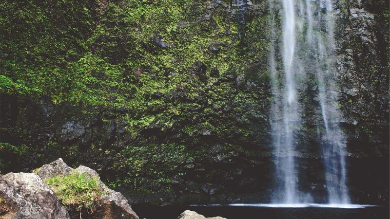 九一视频下载app安卓极速下载体验